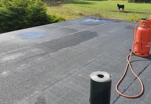 Flat Roofs